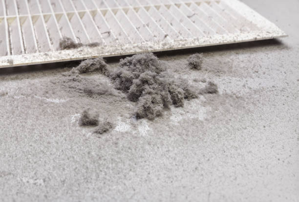 Best Affordable Air Duct Cleaning  in Ronkonkoma, NY